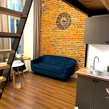 Urokliwy Loft W Ncł-kamienica Vabank Apartament Łódź
