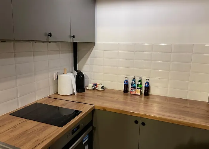 Urokliwy Loft W Ncl-kamienica Vabank * Łódź